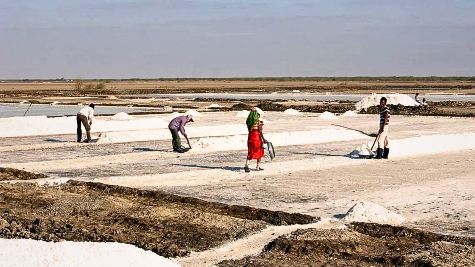 Ahmedabad: 3-Day Little Rann of Kutch Private Wildlife Tour - Key Points
