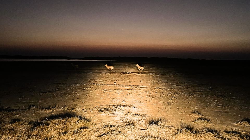 Ahmedabad: 3-Day Little Rann of Kutch Private Wildlife Tour - Booking and Cancellation Policy