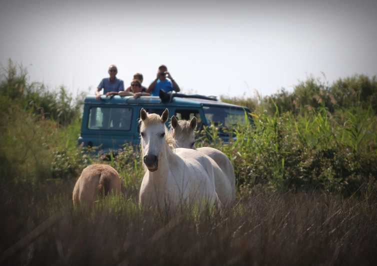 Aigues Mortes: Jeep Photo Safari in Camargue - Wildlife Spotting
