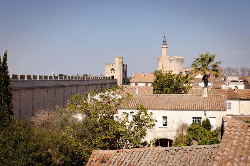 Aigues-Mortes: Private Guided Tour of city + Constance Tower - Who Is This Tour Best For?