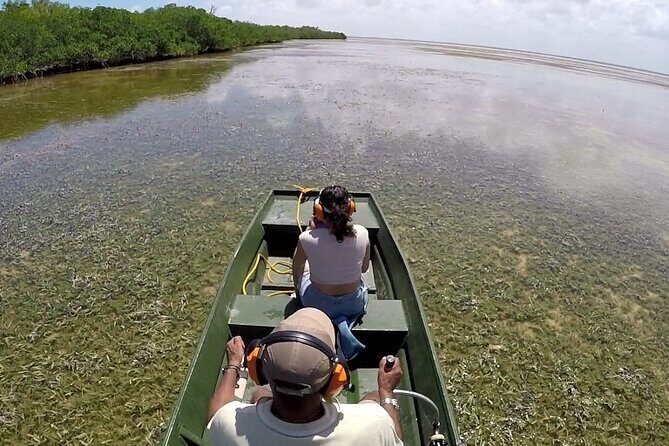 Airboat Adventure - Who Is This Tour Best For?