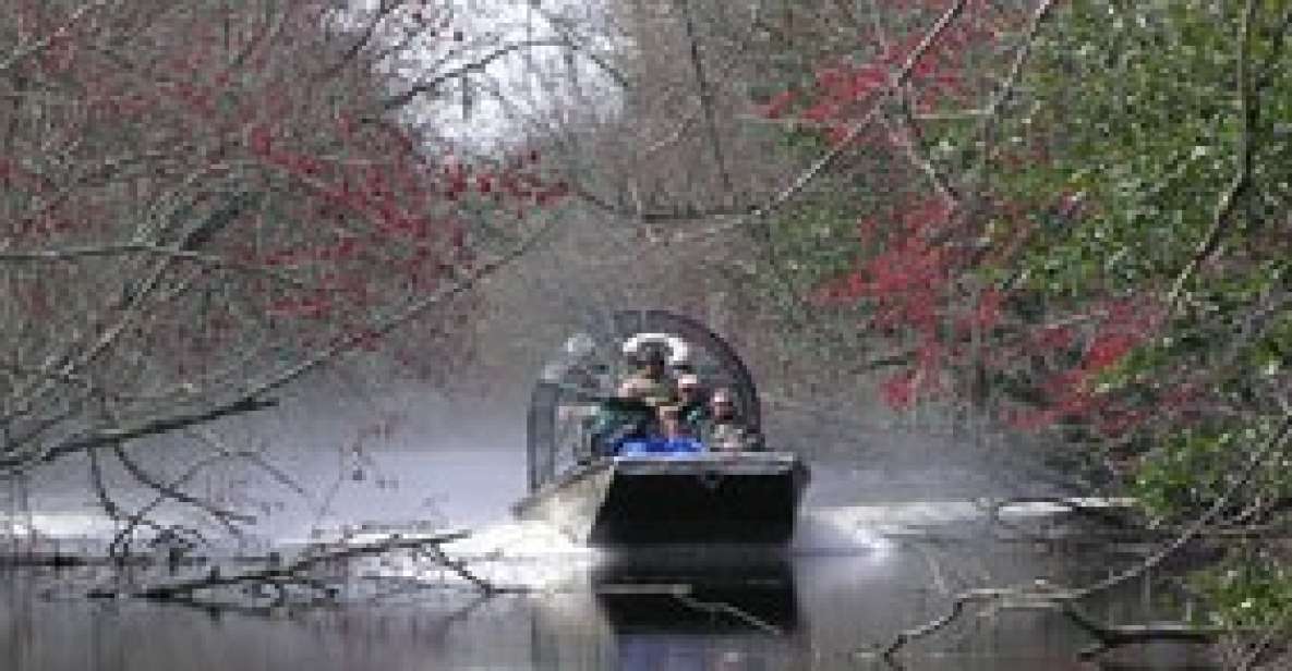 Airboat Tour of Louisiana Swamps - Encounter With Swamp Wildlife
