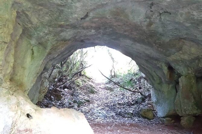 Aire & Candeeiros: Nature, Fossils and Forgotten Traditions - An Honest Look at the Value for Money