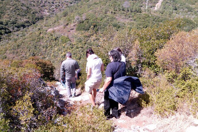 Aire & Candeeiros: Nature, Fossils and Forgotten Traditions - Who Will Love This Tour?