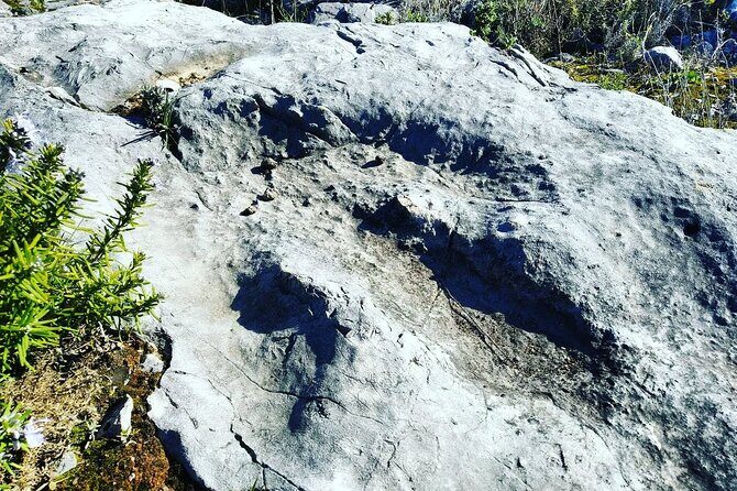 Aire & Candeeiros: Nature, Fossils and Forgotten Traditions - FAQ