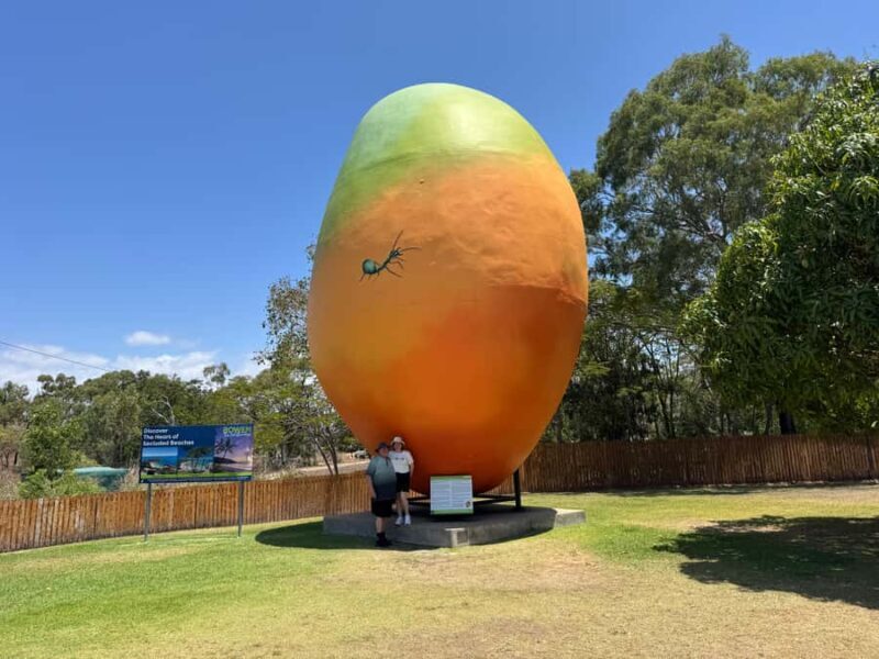 Airlie Beach: Beautiful Bowen Beaches and Seafood Day Trip. - Lunch at Birds Fish Bar