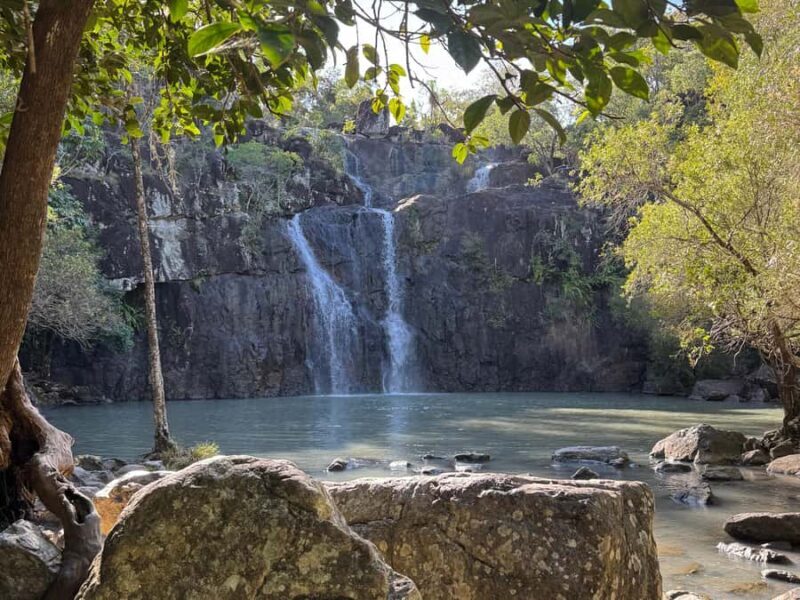 Airlie Beach: Cedar Creek Express Eco Tour - The Value of the Cedar Creek Eco Tour