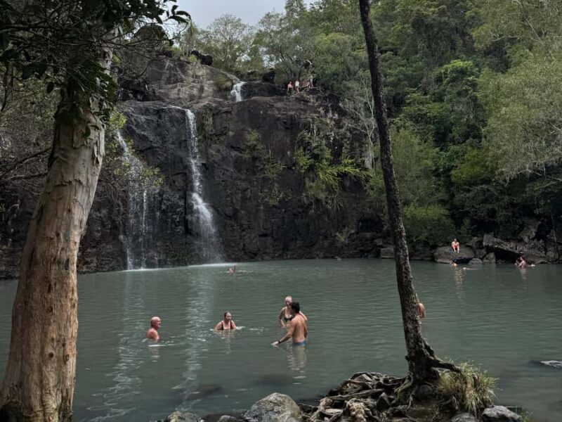 Airlie Beach: Cedar Creek Express Eco Tour - Final Thoughts