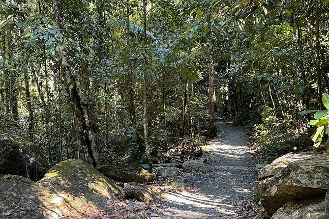 Airlie Beach: Eungella Wild Platypus Encounter Eco Tour - Why This Tour Works