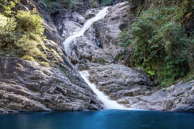 Airlie Beach: Eungella Wild Platypus Encounter Eco Tour - FAQ