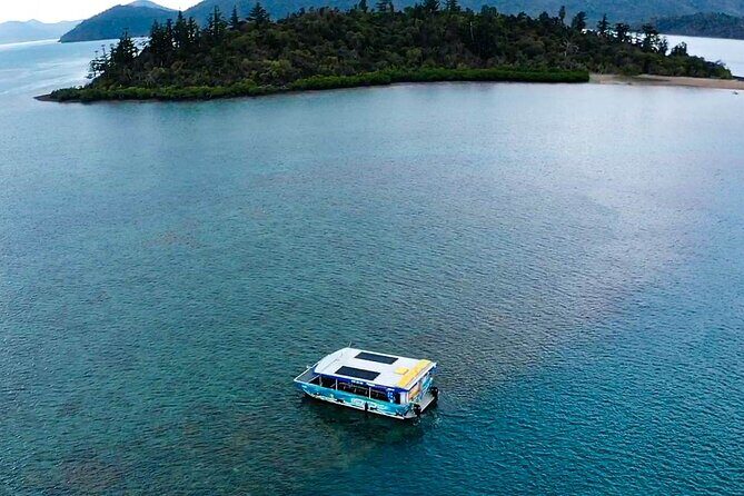 Airlie Beach Glass Bottom Boat Guided Night Tour - An In-Depth Look at the Tour Experience