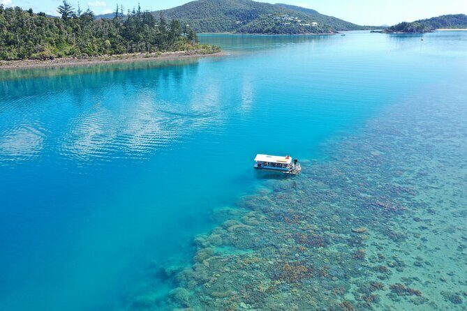 Airlie Beach Glass Bottom Boat Tour - What to Expect from the Airlie Beach Glass Bottom Boat Tour