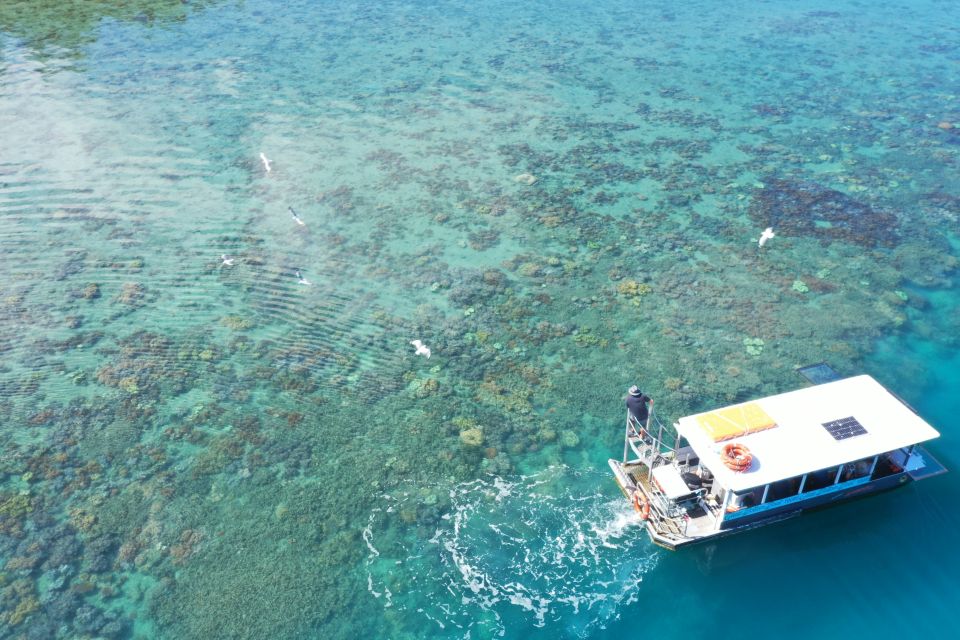 Airlie Beach: Glass-Bottom Boat Tour - Customer Reviews