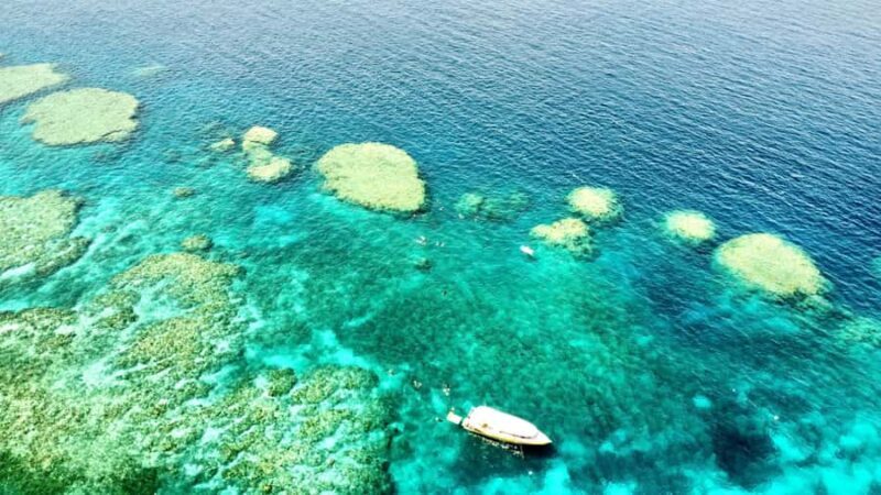 Airlie Beach: Great Barrier Reef & Whitehaven Beach Tour - An Authentic Day in the Whitsundays