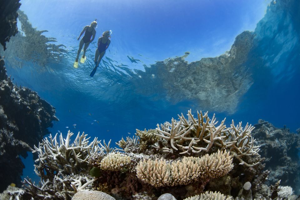 Airlie Beach: Great Barrier Reef & Whitehaven Beach Tour - Important Information