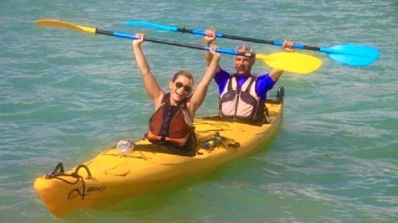 Airlie Beach: Half Day Turtle Tour Sea Kayaking Adventure - A Closer Look at the Experience