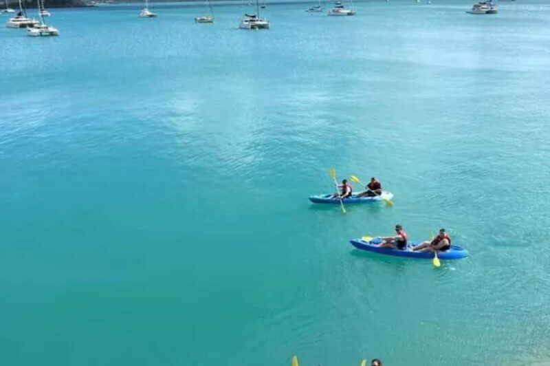 Airlie Beach: Half Day Turtle Tour Sea Kayaking Adventure - Frequently Asked Questions