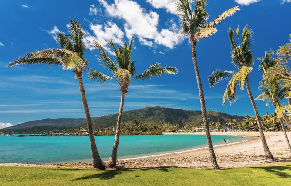Airlie Beach: Hopper Sightseeing Bus With Lunch - Key Points