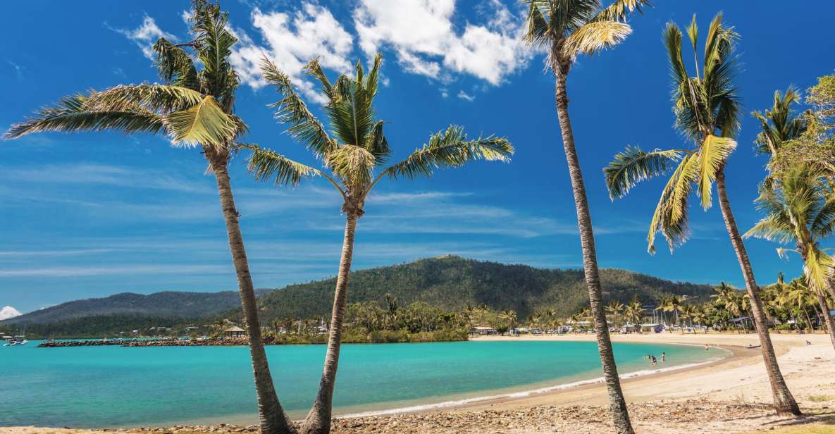 Airlie Beach: Hopper Sightseeing Bus With Lunch - Inclusions and Itinerary Details