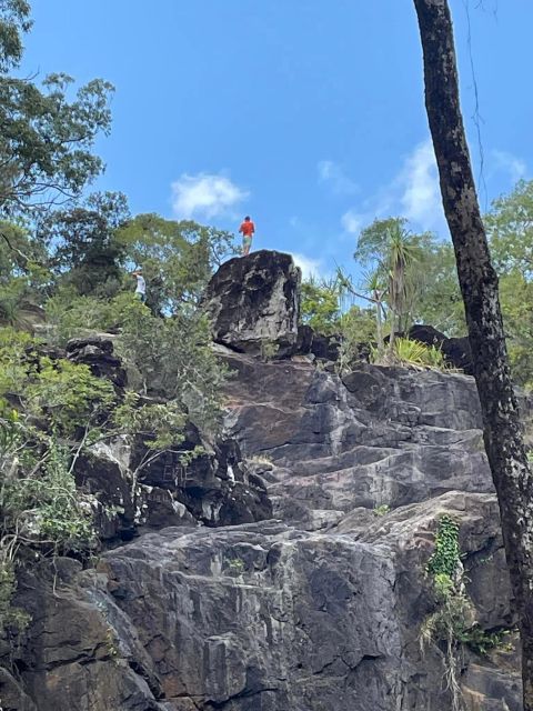 Airlie Beach: Hopper Sightseeing Bus With Lunch - Customer Reviews and Testimonials