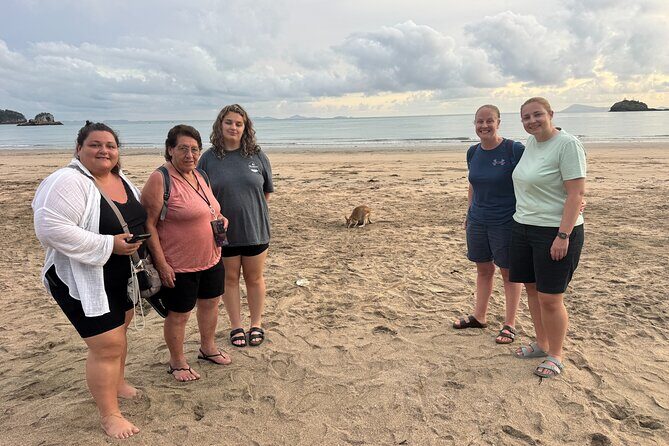 Airlie Beach: Kangaroos on the beach at dawn. - The Sum Up