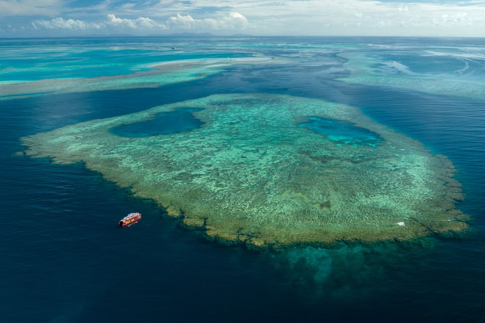 Airlie Beach: Outer Barrier Reef Snorkeling Day Trip - Snorkeling Experience