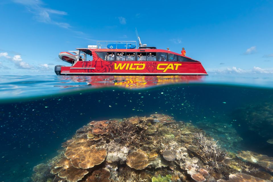 Airlie Beach: Outer Barrier Reef Snorkeling Day Trip - Customer Reviews