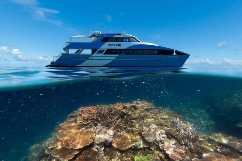 Airlie Beach: Outer Great Barrier Reef Snorkeling Day Trip - Who Is This Tour Best For?