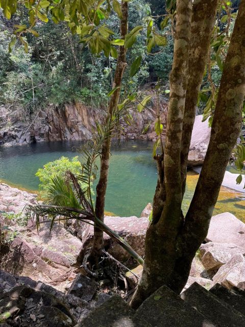 Airlie Beach: Platypus, Eungella and Waterfalls Day Tour - Key Points