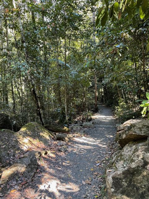Airlie Beach: Platypus, Eungella and Waterfalls Day Tour - Customer Reviews