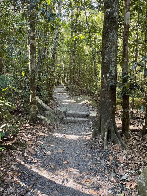 Airlie Beach: Platypus, Eungella and Waterfalls Day Tour - Booking Information