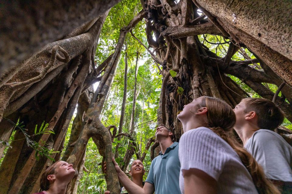 Airlie Beach: Platypus, Eungella and Waterfalls Day Tour - Frequently Asked Questions