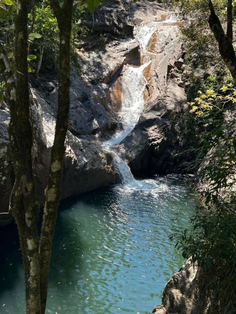 Airlie Beach: Platypus, Eungella and Waterfalls Day Tour - Recap