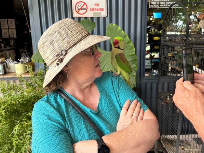 Airlie Beach: Sightseeing Bus Tour - What Travelers Say