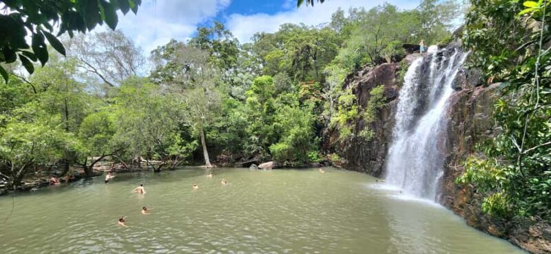 Airlie Beach: Waterfall & Rainforest Bushwalk Eco Adventure - A Closer Look at the Itinerary