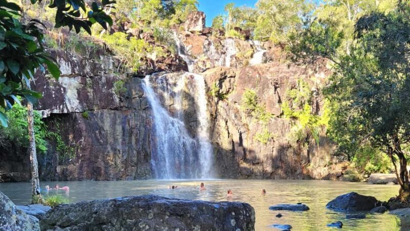 Airlie Beach: Waterfall & Rainforest Bushwalk Eco Adventure - The Sum Up