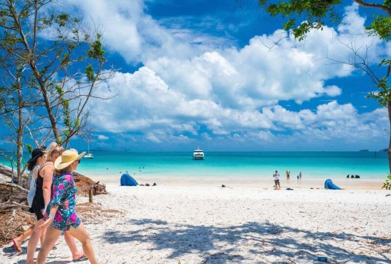 Airlie Beach: Whitehaven Beach Cruise and Hill Inlet - Practical Tips for Making the Most of Your Day