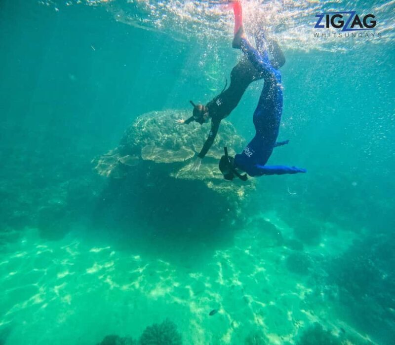 Airlie Beach: Whitehaven Beach Day Tour with Snorkel Option - An In-Depth Look at the Tour