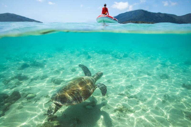 Airlie Beach: Whitehaven Full-Day Eco-Cruise with Buffet - Why Travelers Love This Tour