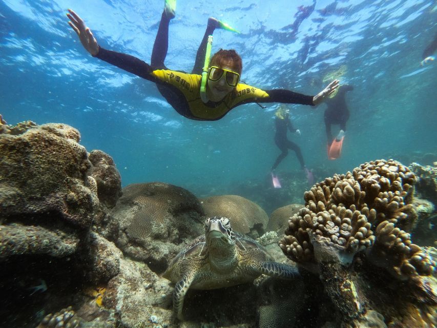 Airlie Beach: Whitsunday Island Sail, SUP & Snorkel Day Tour - Departure Point