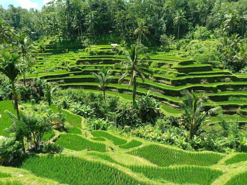 Airport & Hotel Transfer, Highlight Tour& Full Day Tour Bali - Activity Duration