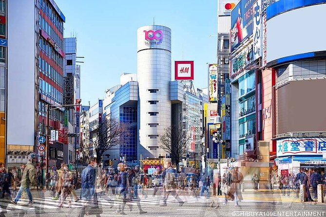 Airport Pick-Up or Drop-Off Service in Tokyo - Accessibility and Additional Info