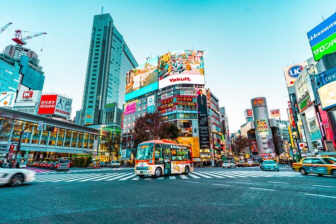 Airport Pick-Up or Drop-Off Service in Tokyo - Cost and Payment Options