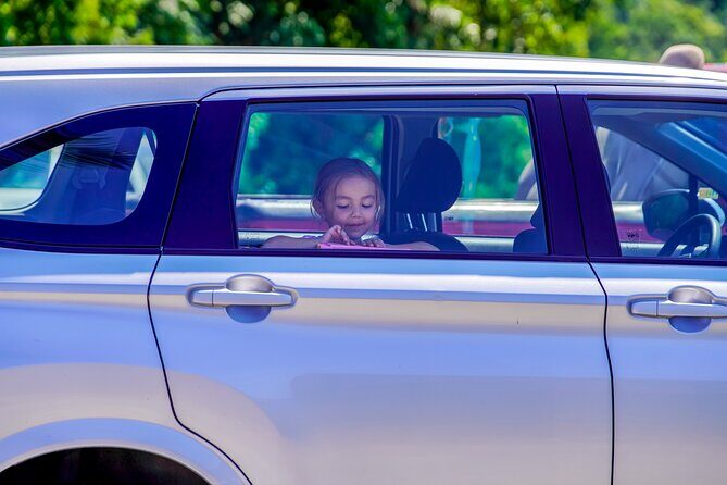 Airport Pickup in Puerto Vallarta: Private Round Trip of 22km - Who Would Benefit Most?