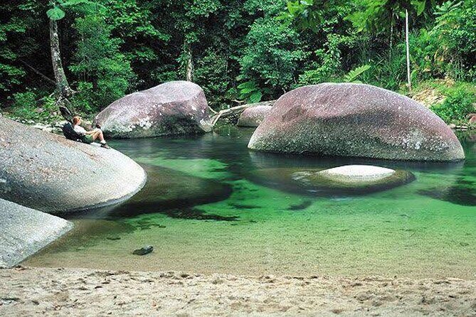 AIRPORT SHUTTLE between Cairns Airport & Port Douglas (6am-5pm) - Who Will Love This Service?