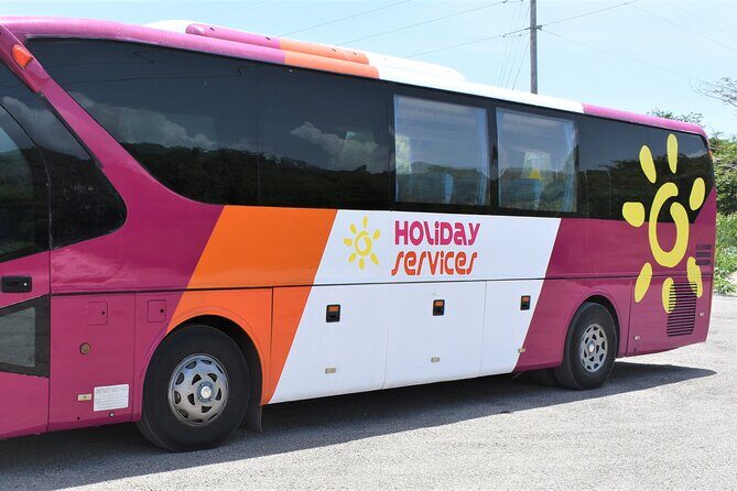 Airport Shuttle from Montego Bay (MBJ) to Hotel - Who Should Consider This Shuttle?