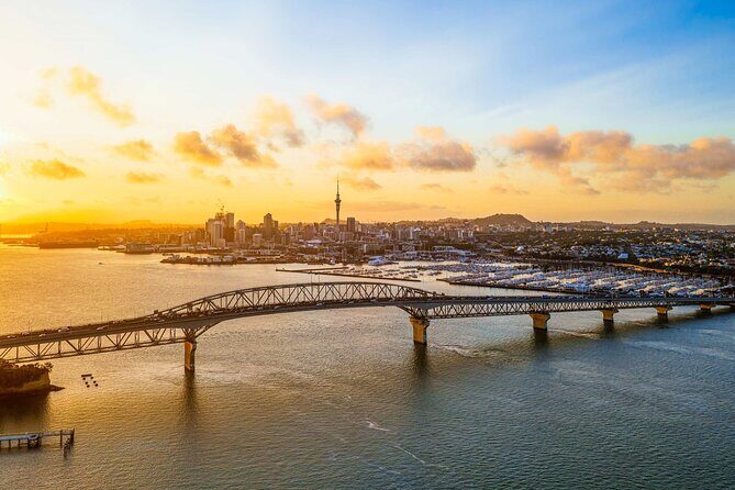 Airport Transfer - Why This Transfer Stands Out