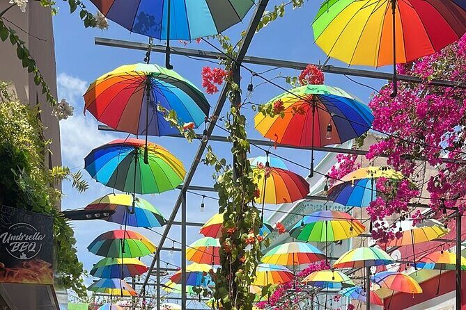 Airport Transfer From Santiago to Puerto Plata one way - The Itinerary: What You Should Know