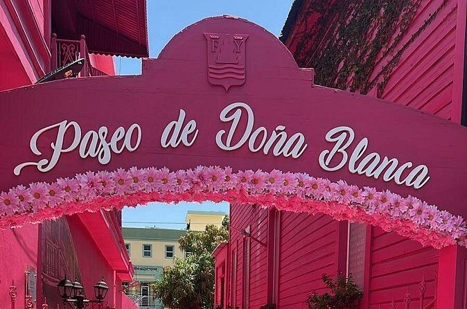 Airport Transfer From Santiago to Puerto Plata one way - Who Should Consider This Transfer?