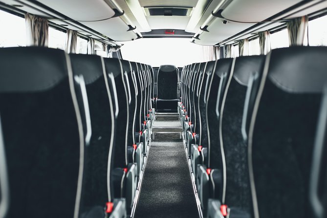 Airport Transfer in Iceland From Keflavik Airport to Reykjavik City One Way - Transportation Connections